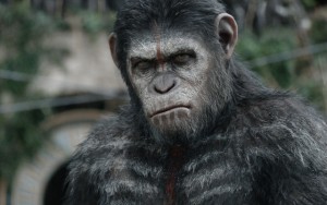 Above: CGI is perfected in 'Dawn Of The Planet Of The Apes'