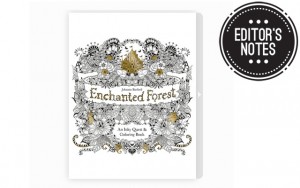 Above: Johanna Basford's second colouring book, 'Enchanted Forest' debuted in January