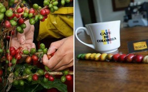 (Photos courtesy of: Hacienda Venecia)