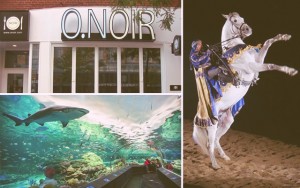 From coast to coast here are some out-of-the box date ideas for you and your lady