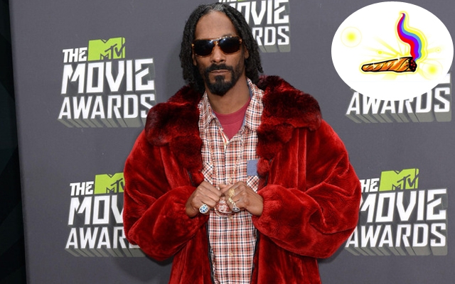 Above: Snoop Lion at the 2013 MTV Movie Awards / Insert: The Snoopify app’s $99.99 'Golden Jay' virtual sticker