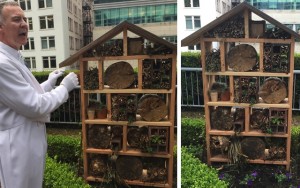 Above: Bee Butler Michael King shows off a sustainable resting space for solitary bees