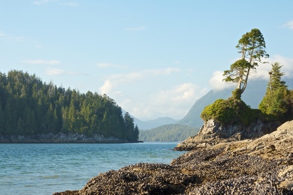 Above: The rocky shoreline of Tofino, Vancouver Island, Canada (Photo: chbaum/Shutterstock)