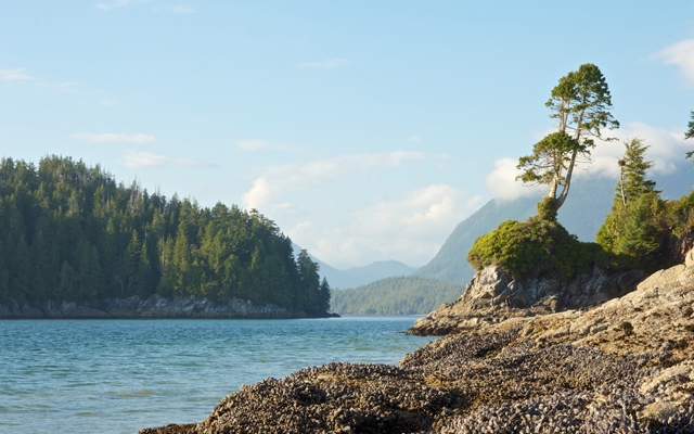 Above: The rocky shoreline of Tofino, Vancouver Island, Canada (Photo: chbaum/Shutterstock)