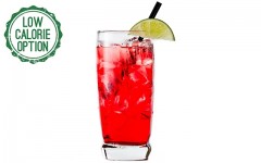 Healthy Bartender: Vodka Cranberry Fizz
