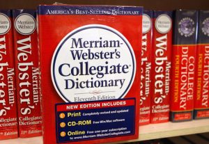 Above: 2016's word of the year, is "surreal"