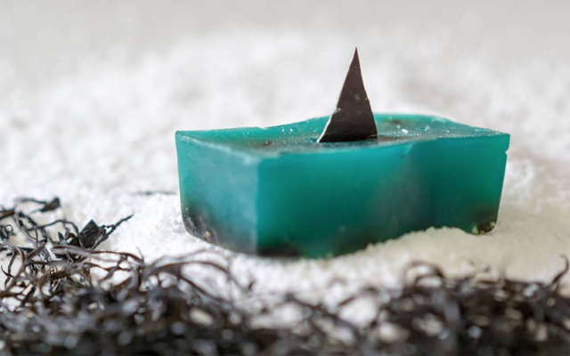 Above: Proceeds from Lush's Shark Fin soap will support late Canadian environmentalist Rob Stewart's ocean-conservation efforts
