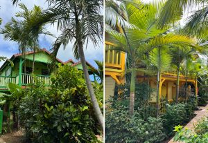 Make It To Martinique For The Island's Premium Rum - Where to Stay