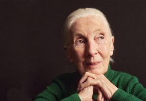 10 Things You Didn’t Know About Jane Goodall (1934 - 2025)