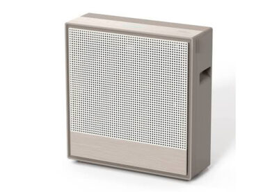 Product Hype: Coway Airmega 250