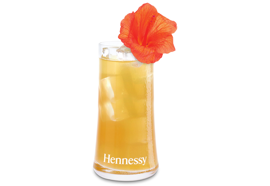 Keep The Caribbean Carnival Vibe Strong- Cocktails To Make At Home - Hennessy Carnival Coco